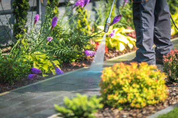 Best Animal Enclosure Cleaning  in Heidelberg, PA